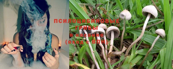 2c-b Тында