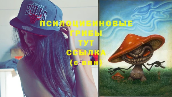 2c-b Тында