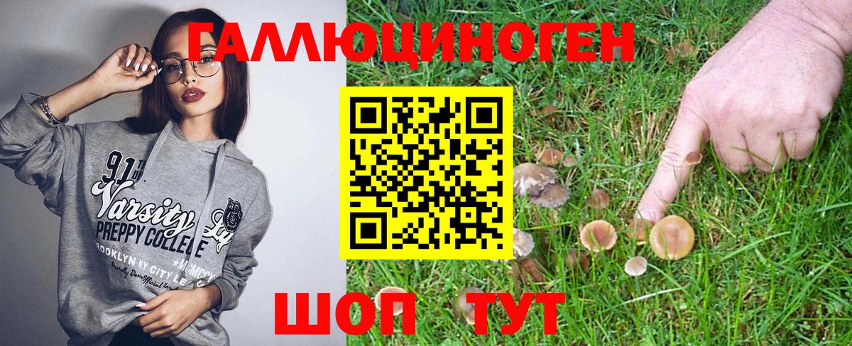 Искитим  Галлюциногенные грибы Psilocybe  Вход с VPN 