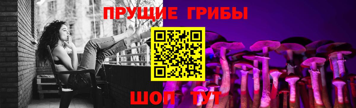 Галлюциногенные грибы Magic Shrooms  Искитим  Псилоцибиновые грибы мицелий 